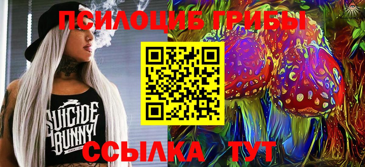 Хабаровск  Галлюциногенные грибы Magic Shrooms  Вход с VPN 